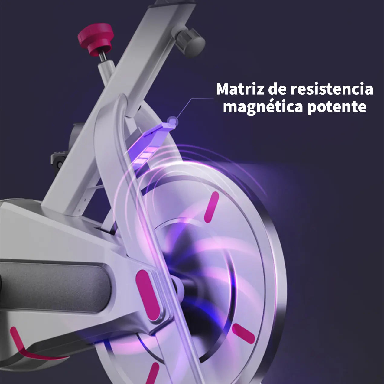 Bicicleta de Ejercicio Grande Fija Deportiva Spinning Restsuko