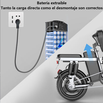 Batería De Bicicleta Eléctrica 48v/20ah De Litio Recargable