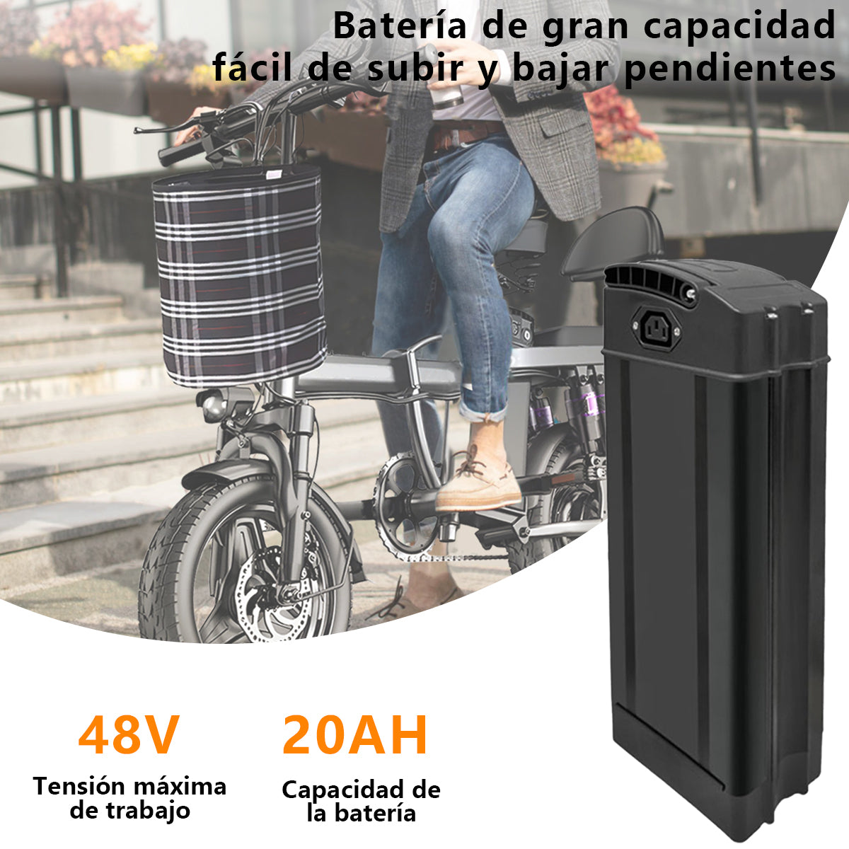 Batería De Bicicleta Eléctrica 48v/20ah De Litio Recargable