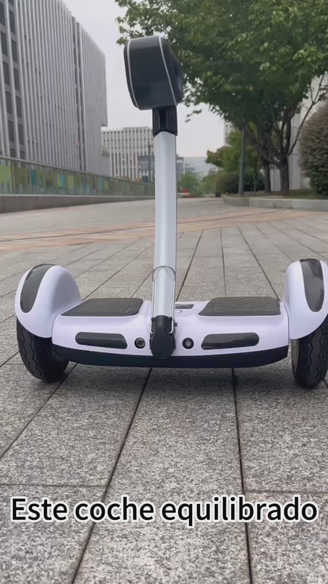 Patinete eléctrico Scooter